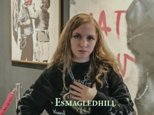 Esmagledhill