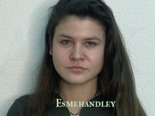 Esmehandley