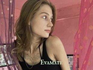 Evamate