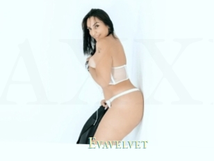 Evavelvet
