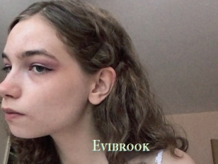 Evibrook