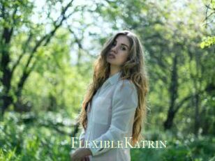 FlexibleKatrin