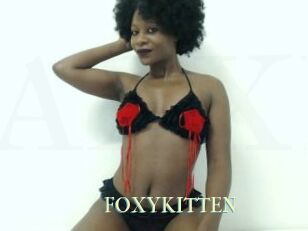 _FOXYKITTEN_