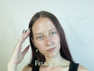 Felicebeldin