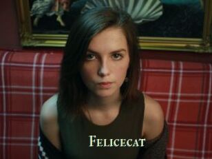 Felicecat