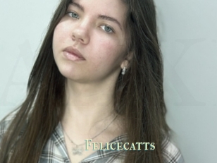 Felicecatts