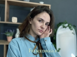 Felicediggle