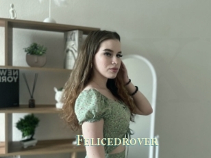 Felicedrover