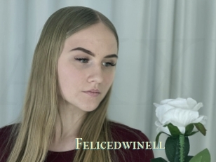 Felicedwinell