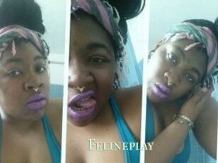 Felineplay
