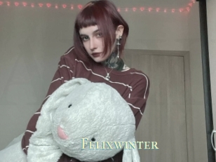 Felixwinter