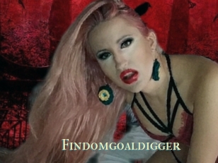 Findomgoaldigger