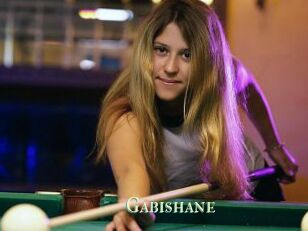 Gabishane