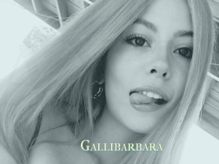 Gallibarbara
