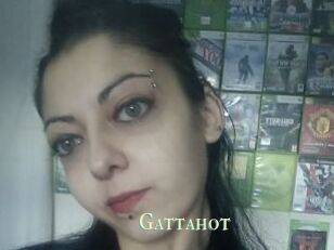 Gattahot