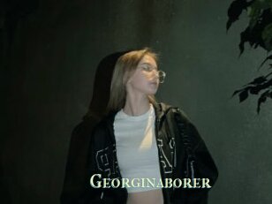 Georginaborer