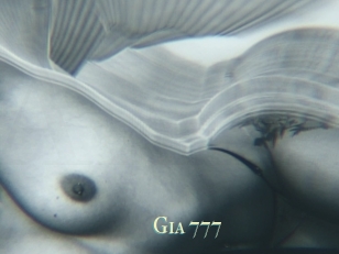 Gia_777