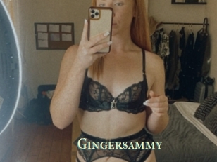 Gingersammy