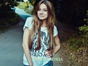 HotAgonia