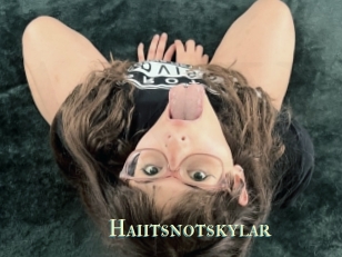Haiitsnotskylar