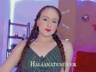 Halaanatendeer