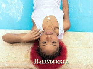 Hallybekker