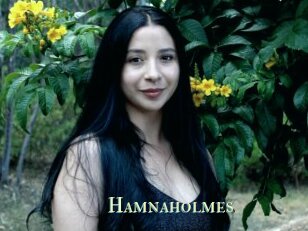 Hamnaholmes