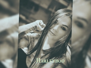 Harleyboo