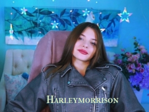 Harleymorrison