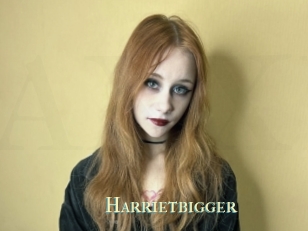 Harrietbigger