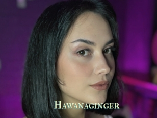 Hawanaginger