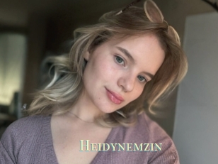 Heidynemzin
