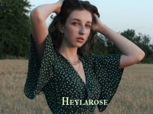 Heylarose