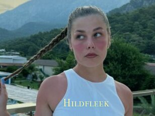 Hildfleek
