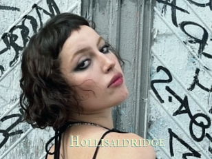 Hollisaldridge