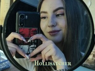 Hollisatcher