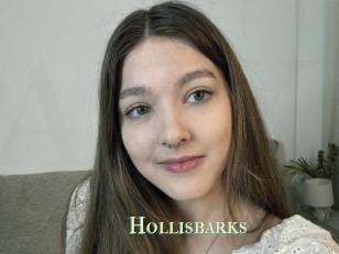 Hollisbarks