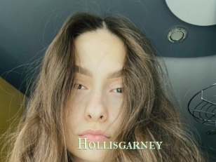 Hollisgarney