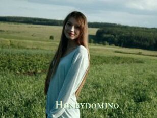 Honeydomino