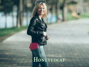 Honeyedcat