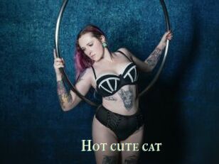 Hot_cute_cat