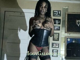 IggyGalorious