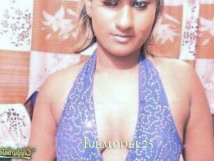 Icemodel25