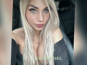 Iggymodel