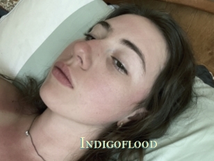 Indigoflood