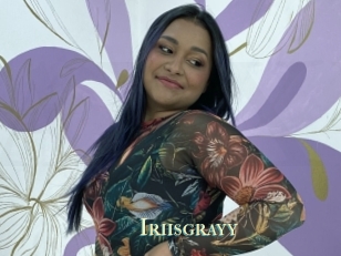 Iriisgrayy