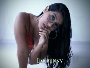 Irisbunny