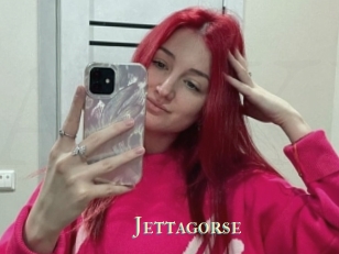 Jettagorse