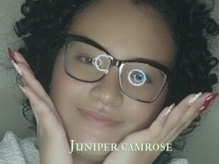 Juniper_camrose