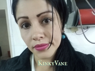KinkyVane